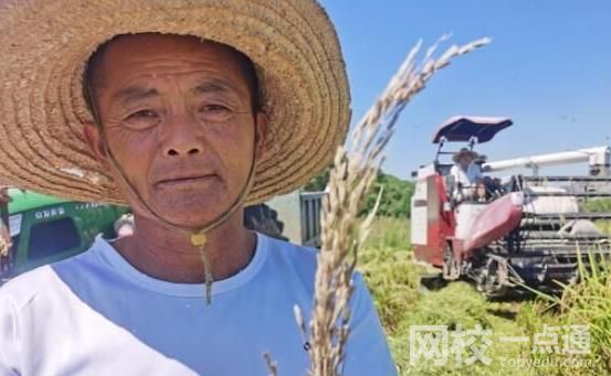 罕見旱災下的鄱陽湖 究竟是什么造成的