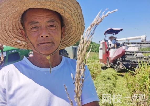 鄱陽湖河床變草原 當地人開車飛馳 意外至極原因簡直太驚人