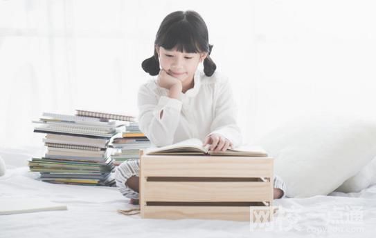 2025年浙江工商大學(xué)錄取分數(shù)線(全國最新排名位次一覽表)