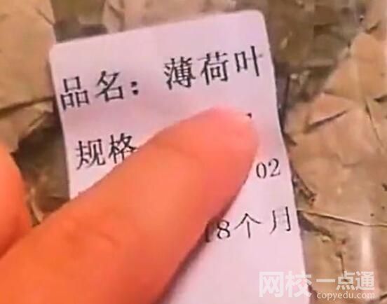 男子網(wǎng)購(gòu)薄荷葉收到“薄”荷葉 究竟是怎么回事？