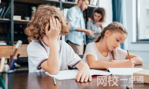 上海紐約大學錄取分數線2024年(各專業最低分數線排名位次)