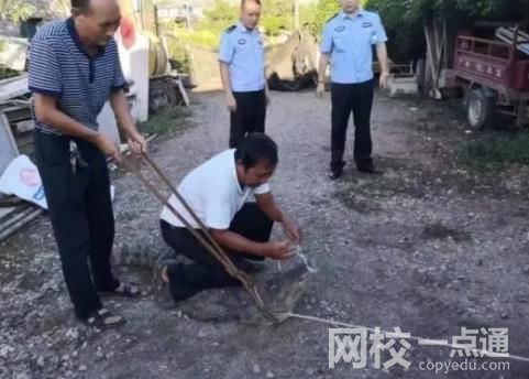 女孩網(wǎng)購毒蛇當(dāng)寵物 一個月后身亡 詳細(xì)事件是怎么一回事？
