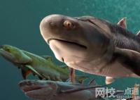 “從魚到人”有了關鍵證據 細節展示實在太壯觀