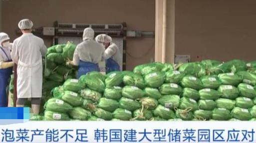 韓國近一半泡菜生產商關閉 具體是什么情況?