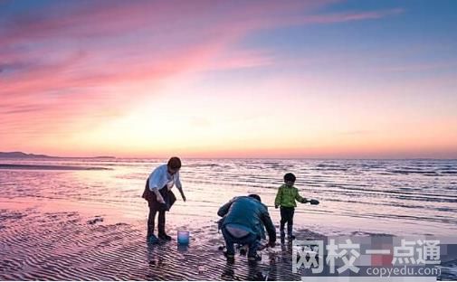 煙臺海腸爆發 有人一晚撈上千斤 周圍甚至還堵起了車