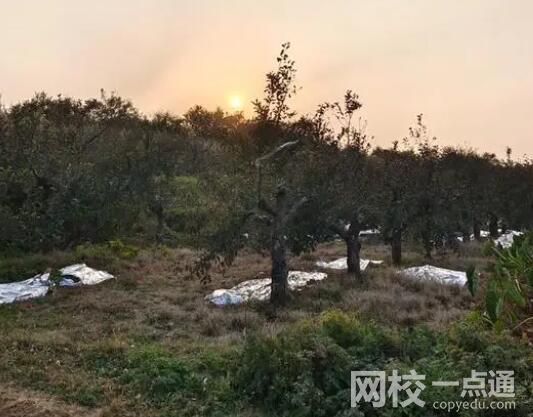 商洛發生7死兇殺案 背后真相實在讓人驚愕