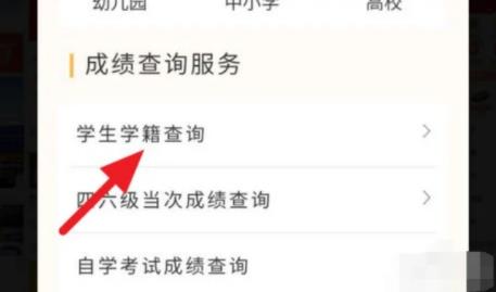 學籍號是什么怎么查詢 學籍號怎么組成的?