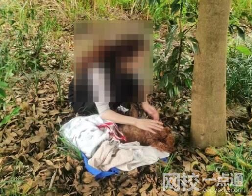 網曝成都多地出現“毒狗”事件 為什么引熱議？