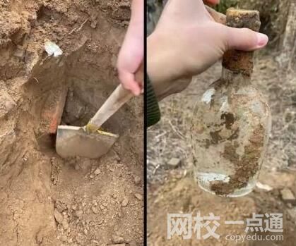 男子4年級時埋白酒打算娶媳婦喝內(nèi)幕曝光