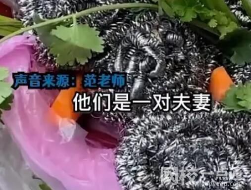 男子垃圾桶旁撿玫瑰送妻子 始料未及真相簡直太意外了