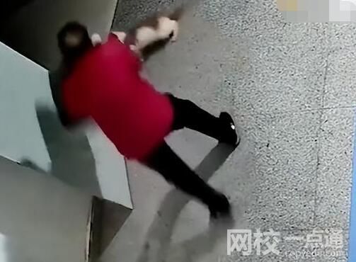殘疾流浪貓?jiān)饫先藧阂馓叽蝌?qū)趕 為什么引爭(zhēng)議？