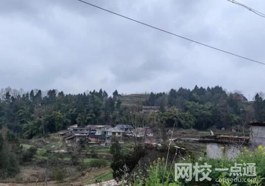 老人去世后現身 親屬曾認尸沒敢靠近事件始末真相曝光