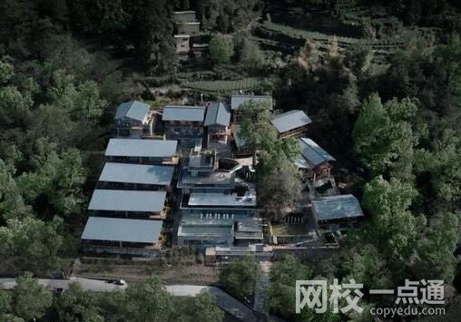 養豬不如養上海人!這話傳遍旅游圈 究竟是怎么回事？