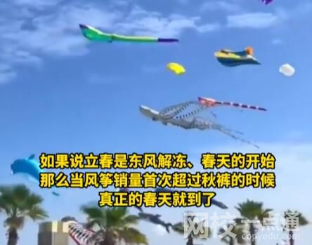 海洋風(fēng)箏爆火 網(wǎng)友:春天的信號(hào) 始料未及真相簡直太意外了
