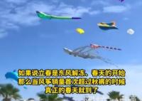 海洋風箏爆火 網友:春天的信號 究竟是怎么回事？