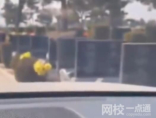 汽車?yán)走_(dá)在無(wú)人陵園內(nèi)顯示全是人影 內(nèi)幕實(shí)在太可怕了