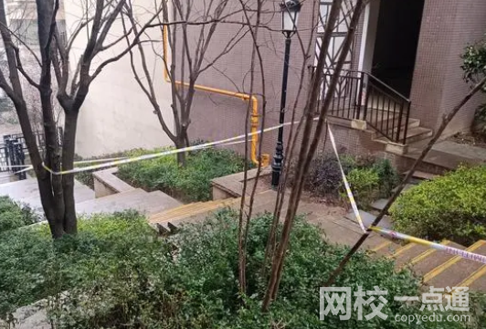 男童高空拋物砸死人 死者家屬起訴內(nèi)幕簡直太悲劇