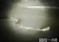 周口河中現巨型“長蟲”?當地回應:身上布滿花紋系蟒蛇