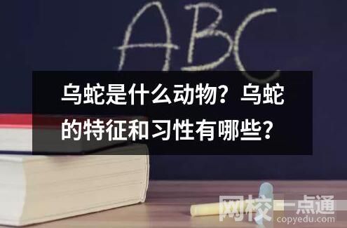 烏蛇是什么動(dòng)物？烏蛇的特征和習(xí)性有哪些？