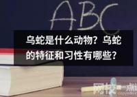 烏蛇是什么動物？烏蛇的特征和習性有哪些？
