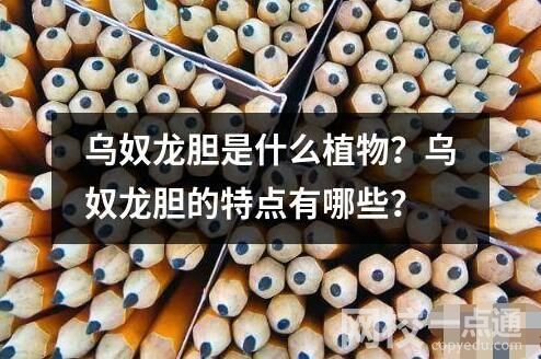 烏奴龍膽是什么植物？烏奴龍膽的特點(diǎn)有哪些？