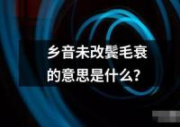 鄉(xiāng)音未改鬢毛衰的意思是什么？