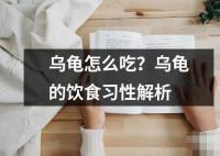 烏龜怎么吃？烏龜?shù)娘嬍沉?xí)性解析