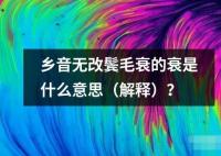 鄉(xiāng)音無(wú)改鬢毛衰的衰是什么意思（解釋）？