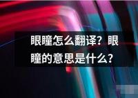 眼瞳怎么翻譯？眼瞳的意思是什么？