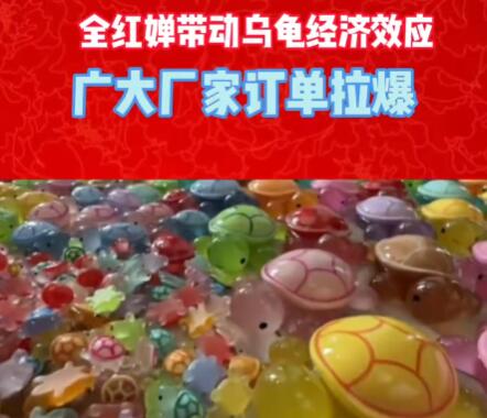 全紅嬋玩的烏龜爆單了 為什么這么火？