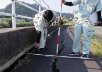 日本南海海槽附近曾數(shù)次發(fā)生大地震 為什么這么嚴重？