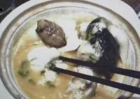 “職業(yè)打假人”3天在5家店吃5頓河豚 為什么引爭議？