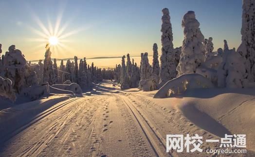 山東科技大學2024在山東省錄取分數線(各專業最低分數線一覽表公布)