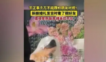新娘發(fā)言時看了眼好友笑到崩潰 究竟是怎么回事？