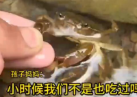男童生吃蟹腿寄生蟲鉆進(jìn)心臟 究竟是怎么回事？
