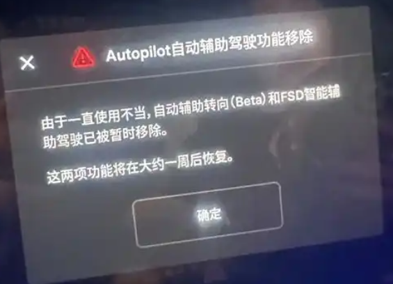 FSD落地中國當(dāng)晚就有車主被禁用 為什么被禁用？