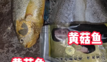 網(wǎng)購黃花魚到手只有包裝是黃的 到底是不是真的？