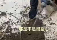 女子吐槽樓上鄰居馬桶正對自家廚房 實(shí)在太讓人惡心了
