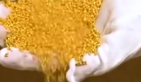 金價(jià)狂飆帶火土法煉金 為什么價(jià)格上漲這么厲害？