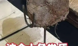 上海人均3888吃象糞甜品餐廳已停業 事件始末2025最新消息
