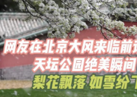 網(wǎng)友展示大風(fēng)前天壇公園的絕美瞬間 到底是什么樣的？