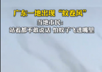 廣東一地蚊子聚集飛舞似龍卷風(fēng) 實(shí)在太罕見(jiàn)了