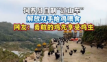 飼養員自制“過山車”給雞喂食 這也太霸氣了