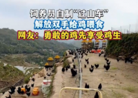 飼養員自制“過山車”給雞喂食 這也太霸氣了
