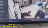 江蘇一寵物醫院被曝粗暴摔打寵物狗 實在太恐怖了
