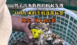 男子出海打撈上來(lái)的生蠔帶商品標(biāo)簽 到底是什么情況？