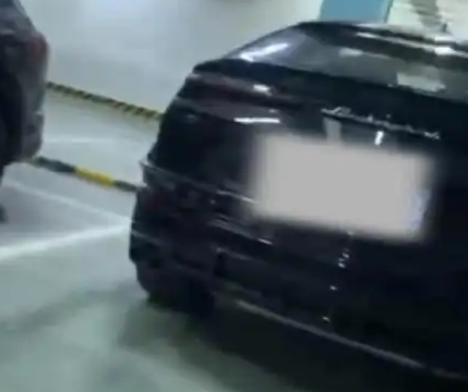 豪車(chē)車(chē)主賴(lài)5塊錢(qián)被代駕舉報(bào)酒駕 這也虧大了