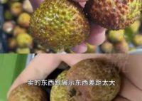8歲男孩花1萬多網購26箱荔枝 為什么引爭議？