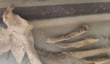 新房地下挖出尸骨 住建局介入協調 究竟是怎么回事？