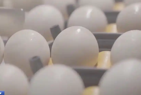 醫生稱無菌蛋并非百分百無細菌 究竟是什么意思？